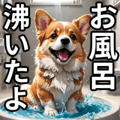 HOUSEWIFE DOG