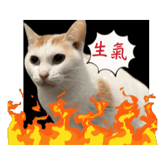 歐妮姊姊合集2