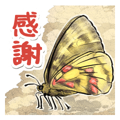 The Japanese Butterfly Encyclopedia
