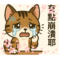 職場貓咪