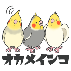 Cockatiels(mof)