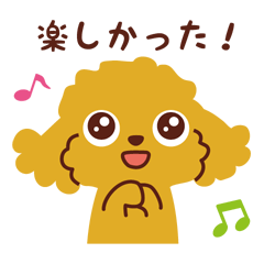 Toy poodles_Happy day