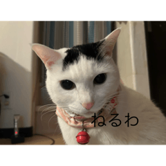 akusizu0122_20250504172537