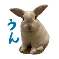 omochimofumofu2
