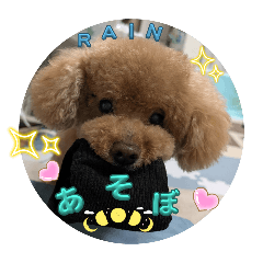 thata_20250504173439
