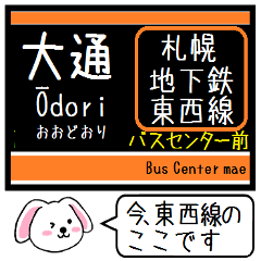 Inform station name of TozaiSapporo line