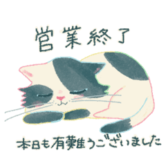 nakami_20250502090300