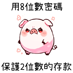 Cute little pig3
