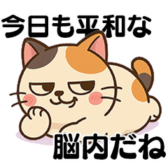"Sarcasm Cat" Cute&Cold&Correct