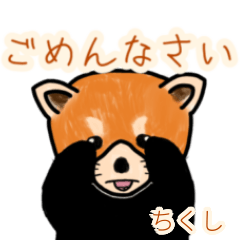 Chikushi's lesser panda