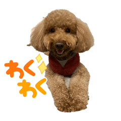 Choco_20250504181131