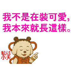 small_20250502143206