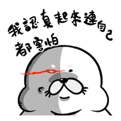 My name is Pange I am a cute seal PART2