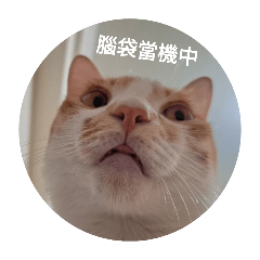 Jean Han_20250504023307