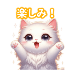 Super cute Turkish Angora!