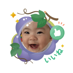 TORA_20250504210706