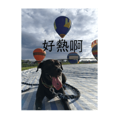 黑寶生活Part1