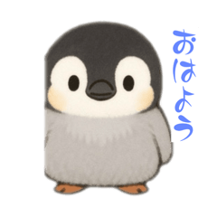 Innocent baby penguin