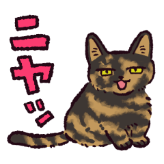 tortoiseshell cat!