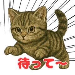 Amesho Stamp for Healing and Smiles