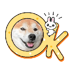 yokkoanzu