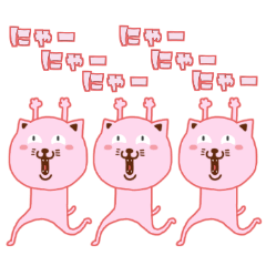 PINK-CUTE-CAT