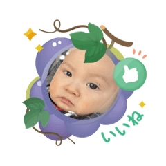 n angie_20250504114114