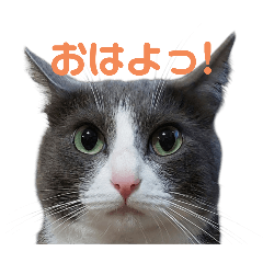 ruka_20250504120207