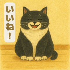 POTEMARU the Chubby Cat: Daily Life