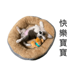 查理東東