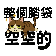 hujiangMa_20250504124256