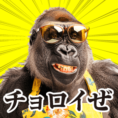 母ゴリラの本音