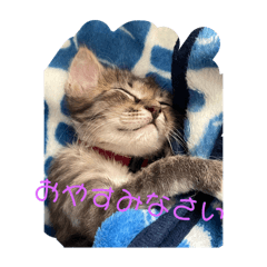 Sue_20250504190514