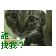 韓吉的玩具世界