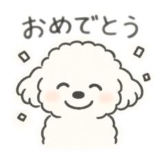 Po._20250504160148