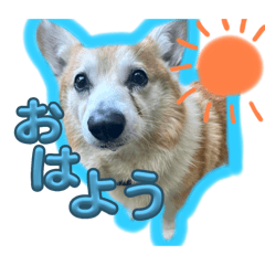 momo_20250504170601