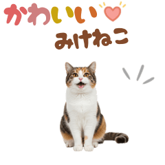 CAT GOOD Sticker12