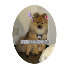Aoi_20250504201937