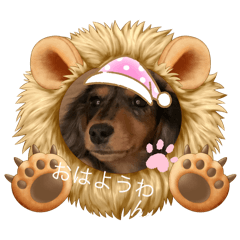 ao_20250504202634