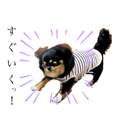 TIWAWANOYUZU