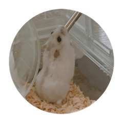 yuzuki_20250504215412