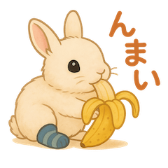 Komugi The Bunny No1