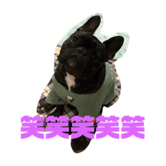 fu_20250504222156