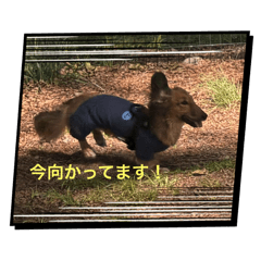 J_20250504222247