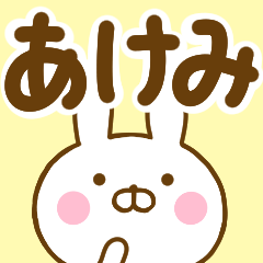 Rabbit Usahina akemi