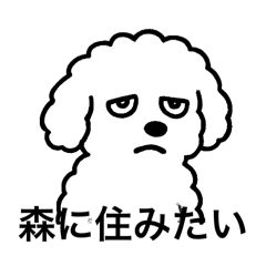 moph_20250504164501