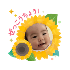 TORA_20250504210844
