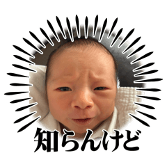 Yume_20250504225137
