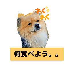 tomo_20250504225337