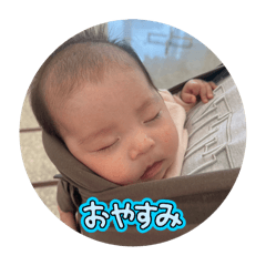 ringo_20250504225653
